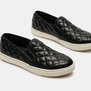 Steve Madden ECENTRCQ BLACK